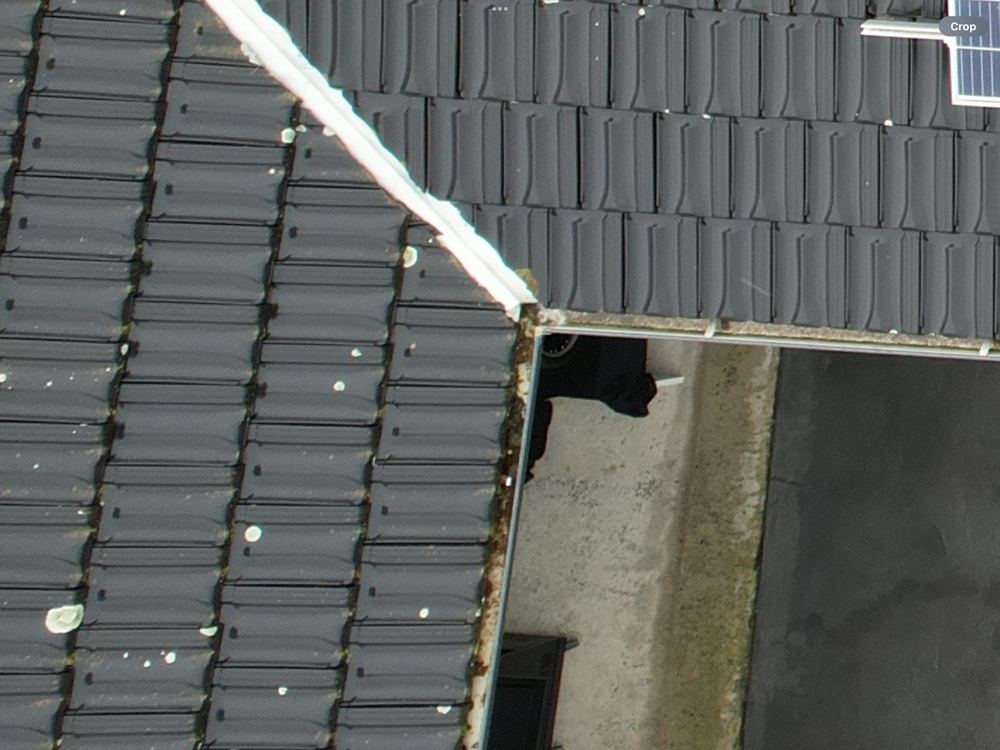 Debris sitting in the gutters, a cause of overflow and damp walls, found during a building and pest inspection in Berwick
