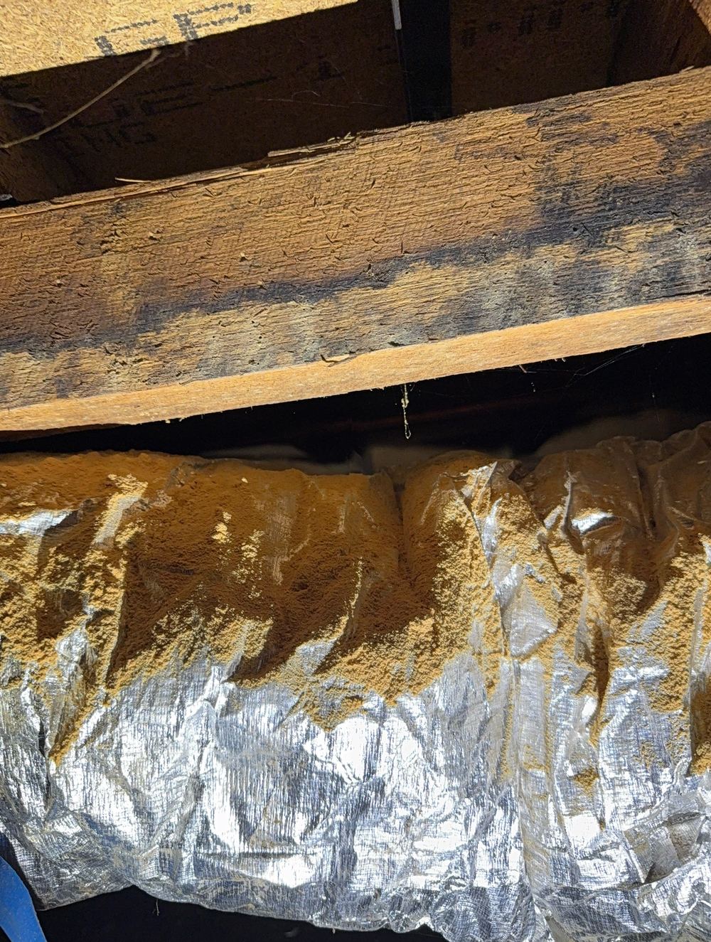 Subfloor timber with damage consistent with past borer activity, found during a defect investigation in Berwick