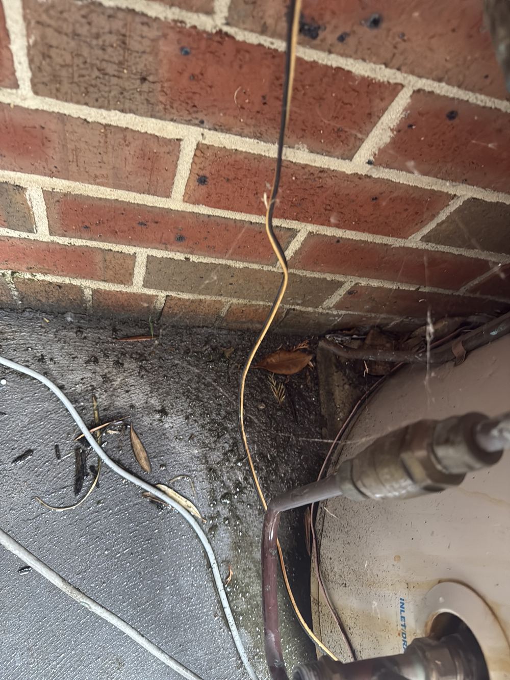 Hot water relief line discharging against the external wall, found during a pre-purchase inspection in Berwick