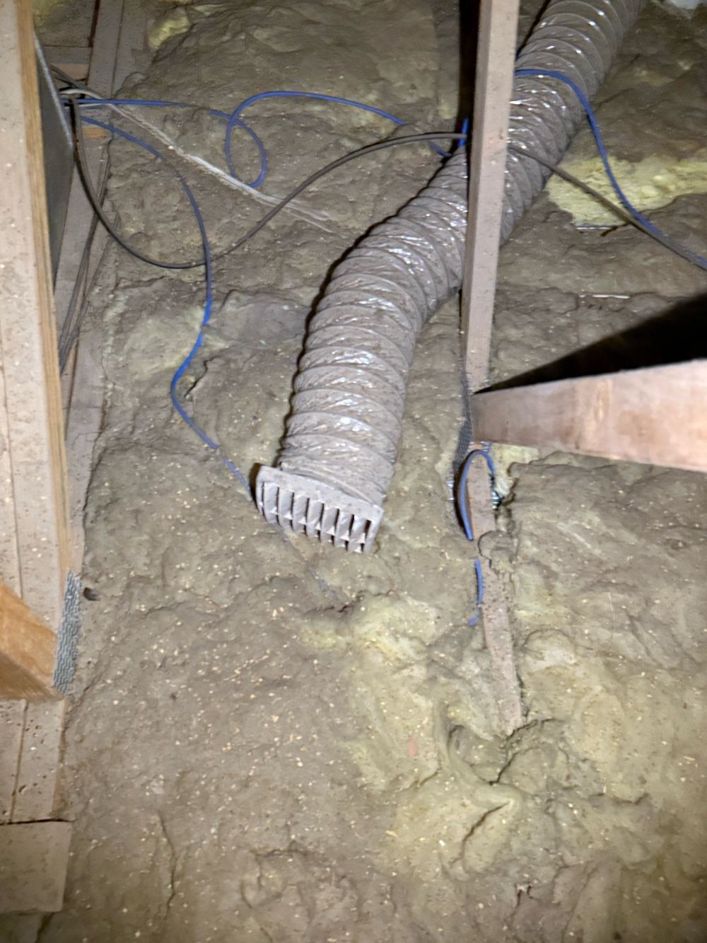 Bathroom exhaust duct ending inside the roof space rather than outside, found during a pre-purchase inspection in Berwick